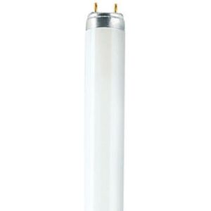 Osram 18W G13 Fluorescent Bulb - Cool White Osram 18W G13 Fluorescent Bulb - Cool White