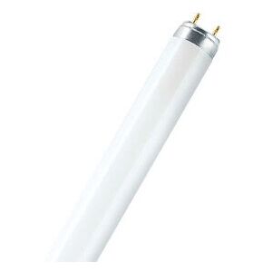 Osram LUMILUX T8 Warm White Fluorescent Bulb Osram LUMILUX T8 Warm White Fluorescent Bulb