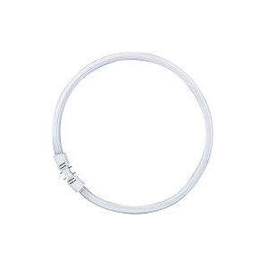 Ampoule fluorescente circulaire Osram LUMILUX 22W - Ampoule fluorescente Ampoule fluorescente circulaire Osram LUMILUX 22W - Ampoule fluorescente