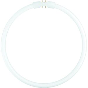 Μάρκα Osram G 2GX13 40 W Κυκλικό φως φθορισμού - LED και φθορισμό Μάρκα Osram G 2GX13 40 W Κυκλικό φως φθορισμού - LED και φθορισμό
