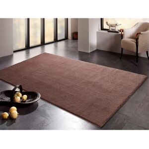 DIE TEPPICHMARKE Soft Dream Brauner Mikrofaser Hochflor-Teppich - Teppich DIE TEPPICHMARKE Soft Dream Brauner Mikrofaser Hochflor-Teppich - Teppich