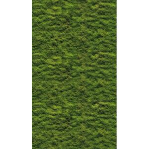 Livingwalls The Wall III Verde Mooswand Carta da Parati - Carta Livingwalls The Wall III Verde Mooswand Carta da Parati - Carta
