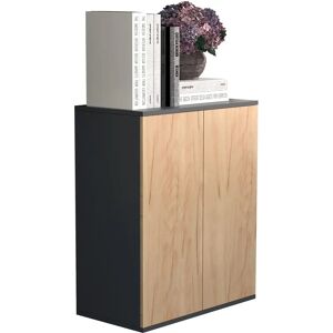VCM Dalosa 2 - Moderne Kontor Sideboard med Dører VCM Dalosa 2 - Moderne Kontor Sideboard med Dører