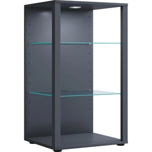VCM Glasol Glasvitrine - Grau - Vitrine, Holz Glas, 90x52x44cm VCM Glasol Glasvitrine - Grau - Vitrine, Holz Glas, 90x52x44cm