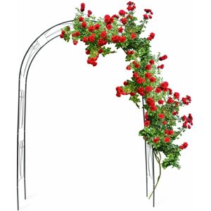 Relaxdays Support pour Roses, Arceau de Jardin, 233x153x39cm - Publicité Relaxdays Support pour Roses, Arceau de Jardin, 233x153x39cm - Publicité