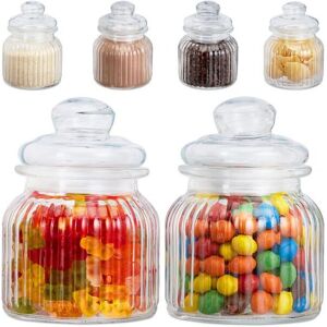 Relaxdays Contenitori per Alimenti in Vetro - 6 pz - 0,7L Relaxdays Contenitori per Alimenti in Vetro - 6 pz - 0,7L
