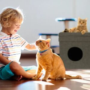 Relaxdays Cat House - Foldable, 2 Levels, 44x38x38cm Relaxdays Cat House - Foldable, 2 Levels, 44x38x38cm