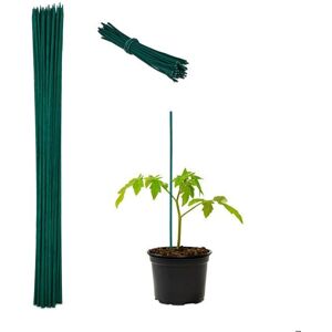 Bamboo Plant Supports - 50 pcs, 60cm, Green Bamboo Plant Supports - 50 pcs, 60cm, Green