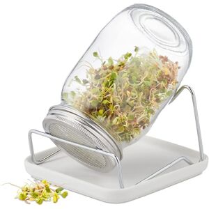 Relaxdays Keimglas - 850ml, Transparent, Anzuchtset Relaxdays Keimglas - 850ml, Transparent, Anzuchtset