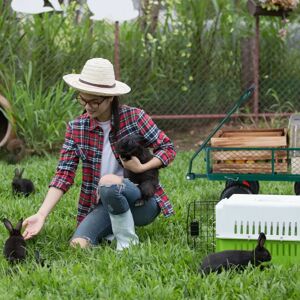 Relaxdays Model 10045458 Multi-Purpose Garden Trolley Relaxdays Model 10045458 Multi-Purpose Garden Trolley