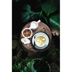 Seltmann Weiden Life Milchkännchen - Cremetopf - Rose - 0,26 l - Creamer Seltmann Weiden Life Milchkännchen - Cremetopf - Rose - 0,26 l - Creamer
