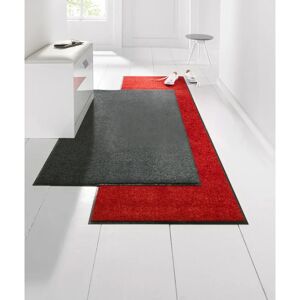 Efia Waschbare Fußmatte 60x180cm - Fußmatte Efia Waschbare Fußmatte 60x180cm - Fußmatte