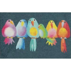 Efia Rainbow Birds Fußmatte - Waschbar Indoor/Outdoor Rutschfest 50x75cm Efia Rainbow Birds Fußmatte - Waschbar Indoor/Outdoor Rutschfest 50x75cm