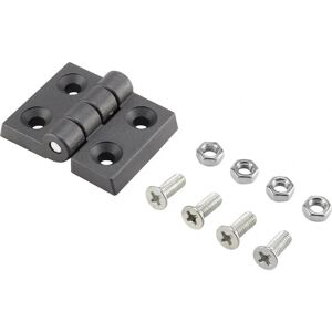 Basetech Charnière en plastique 60x45x8mm - Hinge Basetech Charnière en plastique 60x45x8mm - Hinge