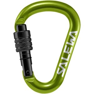 Salewa HMS Screw G2 Carabiner - Lightweight, Green, Small - Climbing Gear Salewa HMS Screw G2 Carabiner - Lightweight, Green, Small - Climbing Gear