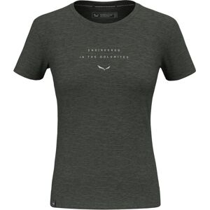 Salewa Women’s Merino Eagle T-Shirt - Green - Women’s Outdoor Shirt Salewa Women’s Merino Eagle T-Shirt - Green - Women’s Outdoor Shirt