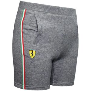 Puma Kids Grijze Shorts Ferrari - Unisex, 4-5Y Puma Kids Grijze Shorts Ferrari - Unisex, 4-5Y