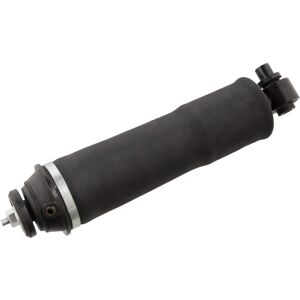 FEBI BILSTEIN 100387 Iskunvaimentaja - Etujousitus FEBI BILSTEIN 100387 Iskunvaimentaja - Etujousitus