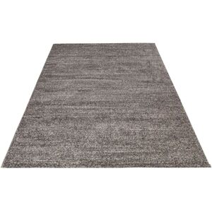 OBSESSION My Nassau 772 Grauer Teppich - Teppich OBSESSION My Nassau 772 Grauer Teppich - Teppich