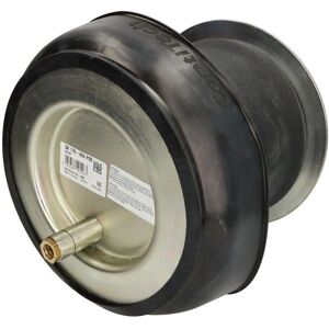 CONTITECH SK 175-603 P02 Ilmaventtiili, asennus etuakseliin CONTITECH SK 175-603 P02 Ilmaventtiili, asennus etuakseliin