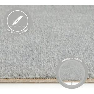 ANDIAMO Marke Velours Catania - Weicher, Robuster Teppich für Zuhause & Büro ANDIAMO Marke Velours Catania - Weicher, Robuster Teppich für Zuhause & Büro