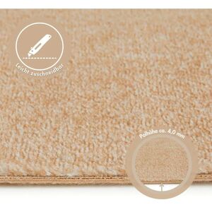 Andiamo Velours Catania Teppichboden - Meliert, 7,5mm, 500x350cm Andiamo Velours Catania Teppichboden - Meliert, 7,5mm, 500x350cm