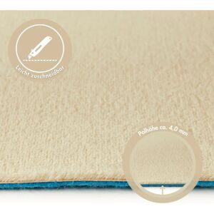 ANDIAMO Velours Kira Teppich - Beige 400x200cm - Teppichboden ANDIAMO Velours Kira Teppich - Beige 400x200cm - Teppichboden