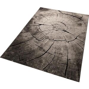 WECONhome Kurzflor Teppich » Wild Oak « braun - 133 x 200 cm WECONhome Kurzflor Teppich » Wild Oak « braun - 133 x 200 cm
