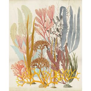 KOMAR Catchy Corals Wandbild - Vlies Tapete 200x250cm KOMAR Catchy Corals Wandbild - Vlies Tapete 200x250cm