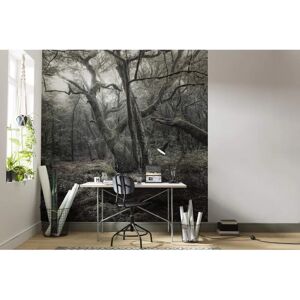 KOMAR Modell Wandbild - Natur, 250x280cm KOMAR Modell Wandbild - Natur, 250x280cm