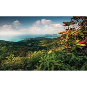 KOMAR Tropical Landscape Wallpaper - 450x280cm - Vlies KOMAR Tropical Landscape Wallpaper - 450x280cm - Vlies