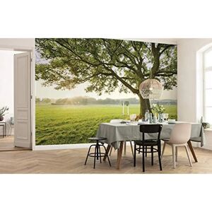 KOMAR Mural de Paisaje 450x280cm - Escena Natural KOMAR Mural de Paisaje 450x280cm - Escena Natural
