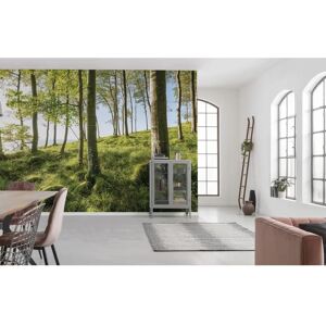 KOMAR Bunt Landscape Wall Mural - Wall Mural KOMAR Bunt Landscape Wall Mural - Wall Mural