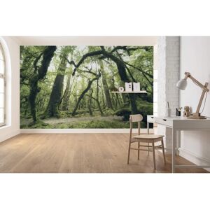 KOMAR Green Forest Wall Mural - Forest, Beach - 450x280 cm KOMAR Green Forest Wall Mural - Forest, Beach - 450x280 cm