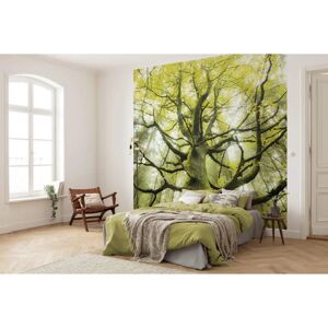 KOMAR Green Tree Wall Covering - 300x280cm - Living Room Decor KOMAR Green Tree Wall Covering - 300x280cm - Living Room Decor