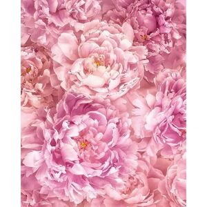 KOMAR Rosa Vliestapete - 2 m x 2,5 m Tapete KOMAR Rosa Vliestapete - 2 m x 2,5 m Tapete