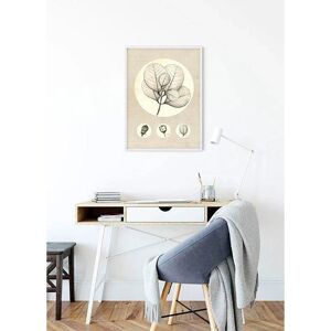 KOMAR - Transparent Leaf - 30 cm x 40 cm - Poster KOMAR - Transparent Leaf - 30 cm x 40 cm - Poster