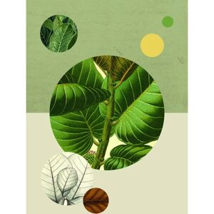 KOMAR Green Structure Bunt Poster - Innenbereich KOMAR Green Structure Bunt Poster - Innenbereich