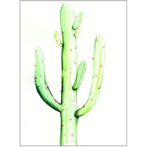 KOMAR Saguaro Watercolor Poster - Pflanzen, Blätter - 50cm x 40cm - Poster KOMAR Saguaro Watercolor Poster - Pflanzen, Blätter - 50cm x 40cm - Poster