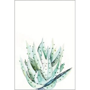 KOMAR - Aloe Watercolor - 30x40 cm - Mehrfarbig - Poster KOMAR - Aloe Watercolor - 30x40 cm - Mehrfarbig - Poster