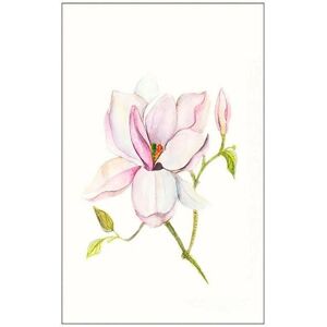 KOMAR - Magnolia Shine - 30x40 cm - Poster KOMAR - Magnolia Shine - 30x40 cm - Poster