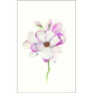 KOMAR Magnolia Blossom Rosa Rechteck Poster - Poster KOMAR Magnolia Blossom Rosa Rechteck Poster - Poster