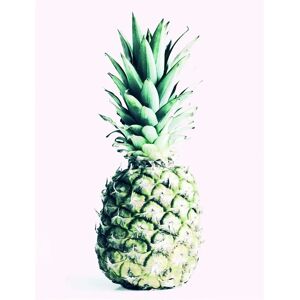 KOMAR Ananas Bunt Poster - Poster KOMAR Ananas Bunt Poster - Poster