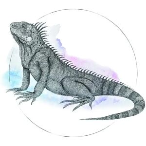 KOMAR - Iguana Watercolor - 30x40 cm - Bunt - Poster KOMAR - Iguana Watercolor - 30x40 cm - Bunt - Poster