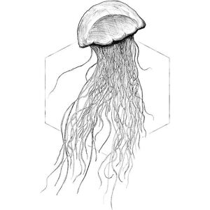KOMAR - Jellyfish White - 30x40 cm - bunt - Poster KOMAR - Jellyfish White - 30x40 cm - bunt - Poster