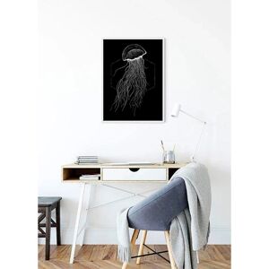 KOMAR Jellyfish Black Poster - Tiere - 70cm x 50cm - Innenbereich KOMAR Jellyfish Black Poster - Tiere - 70cm x 50cm - Innenbereich