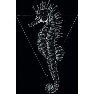 KOMAR Seepferdchen Schwarz Poster - Tiere KOMAR Seepferdchen Schwarz Poster - Tiere