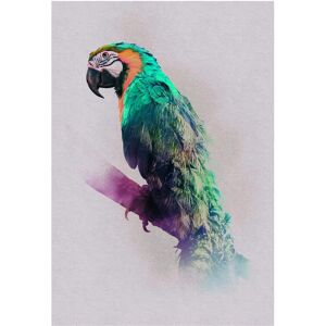 KOMAR Parrot Animals Paradise Poster - 50x70 cm Indoor Decor KOMAR Parrot Animals Paradise Poster - 50x70 cm Indoor Decor