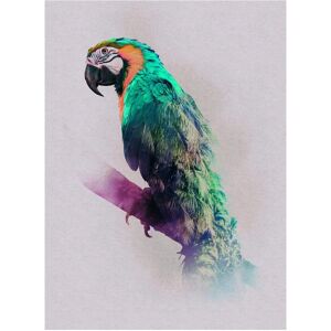KOMAR Papagei Tierparadies Poster - Wanddeko KOMAR Papagei Tierparadies Poster - Wanddeko