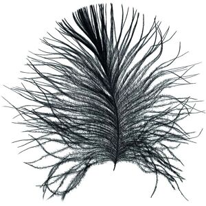 KOMAR Feather White - Federn, bunt - Poster 50x70 cm KOMAR Feather White - Federn, bunt - Poster 50x70 cm